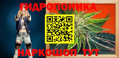 бошки Новозыбков